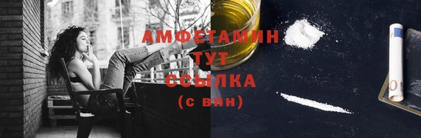 шишки Заводоуковск