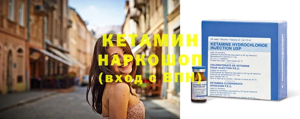 шишки Заводоуковск