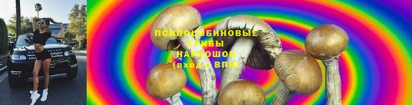 шишки Заводоуковск