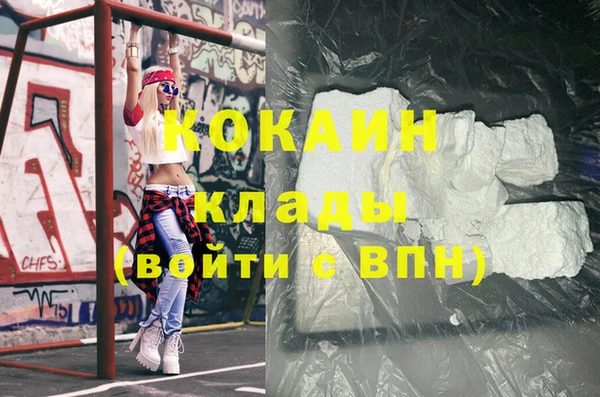 шишки Заводоуковск