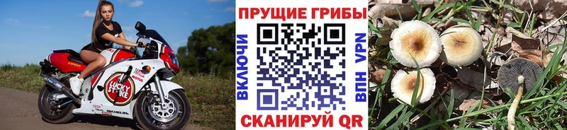 Галлюциногенные грибы мухоморы  Купить закладки  Краснокаменск 